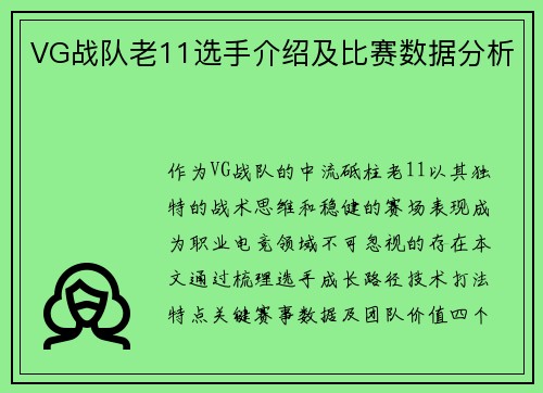 VG战队老11选手介绍及比赛数据分析